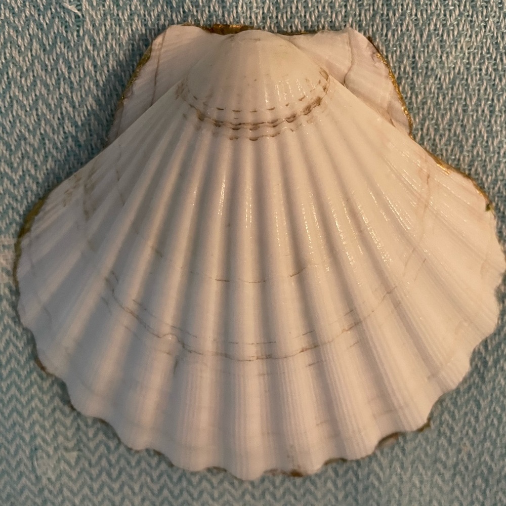 4” Hand Crafted Scallop Shell With Chairs On The Beach. - Picture 4 of 4